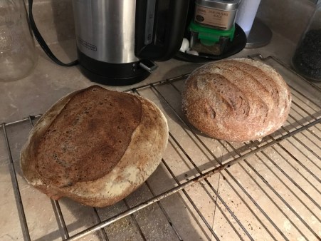 Bread cooling_1