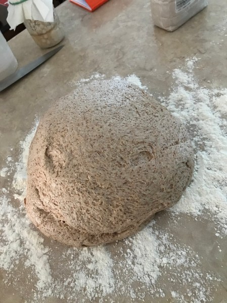 Dough after mixing and bulk rise