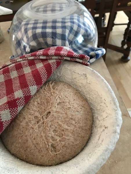 Shaped dough before baking